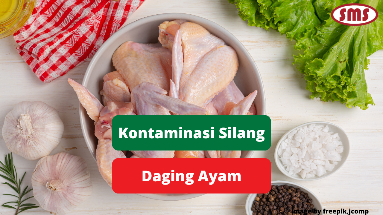 Kenali Kontaminasi Silang Pada Daging Ayam Broiler